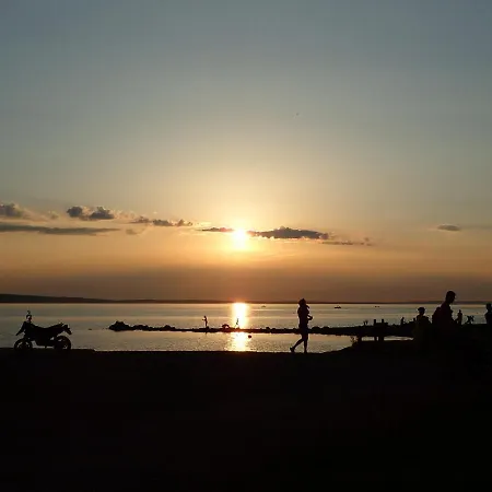 Falk 스타리그라드 파클레니차